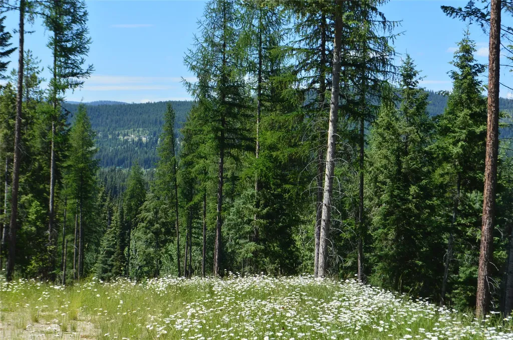 Nhn Logan Creek Road Whitefish MT 59937