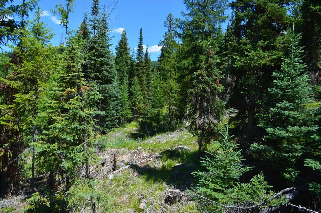 Nhn Logan Creek Road Whitefish MT 59937
