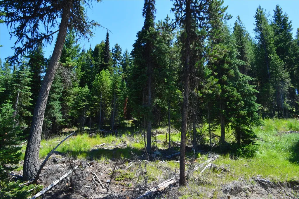 Nhn Logan Creek Road Whitefish MT 59937