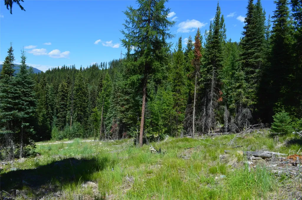 Nhn Logan Creek Road Whitefish MT 59937