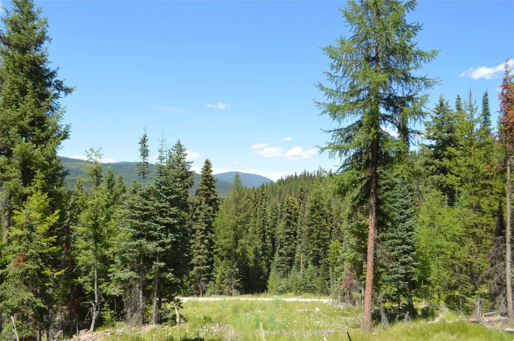 Nhn Logan Creek Road Whitefish MT 59937