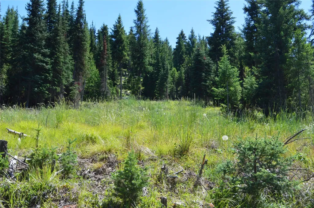 Nhn Logan Creek Road Whitefish MT 59937