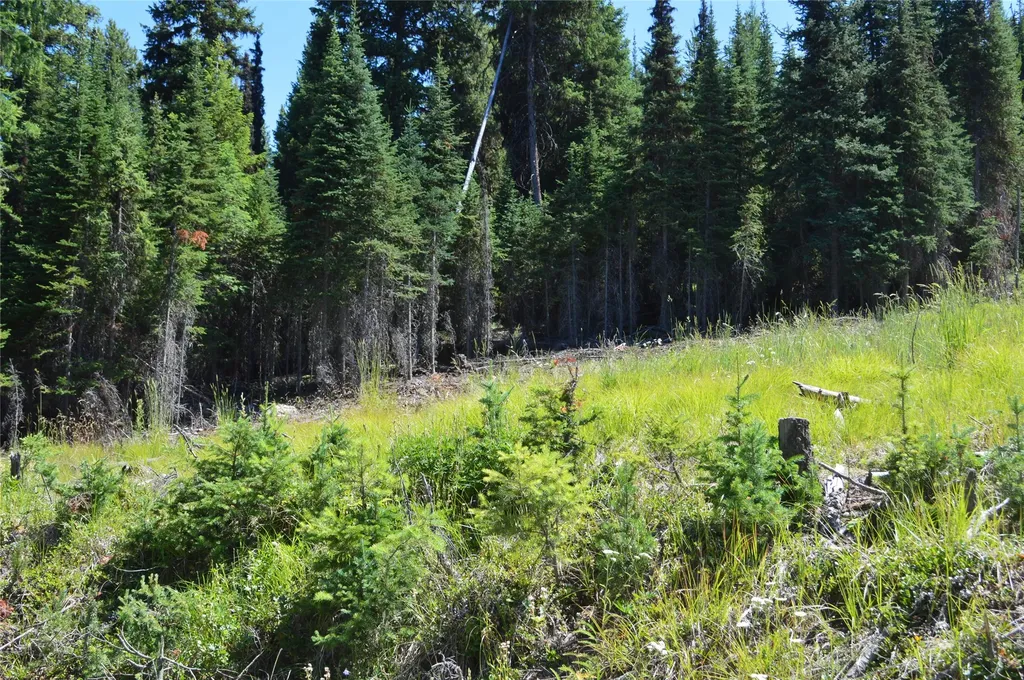 Nhn Logan Creek Road Whitefish MT 59937