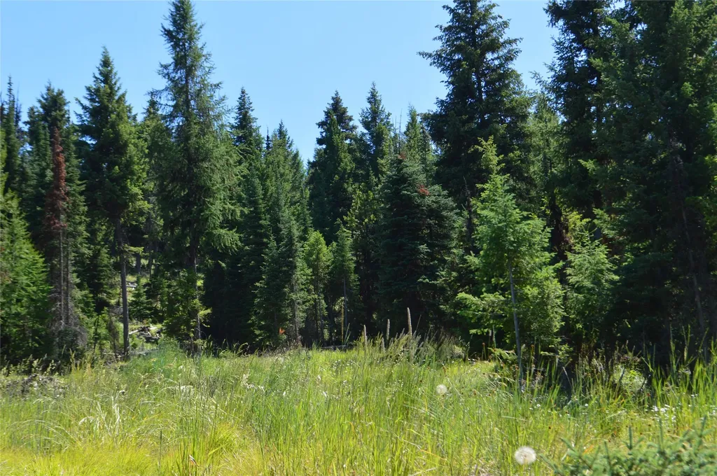 Nhn Logan Creek Road Whitefish MT 59937