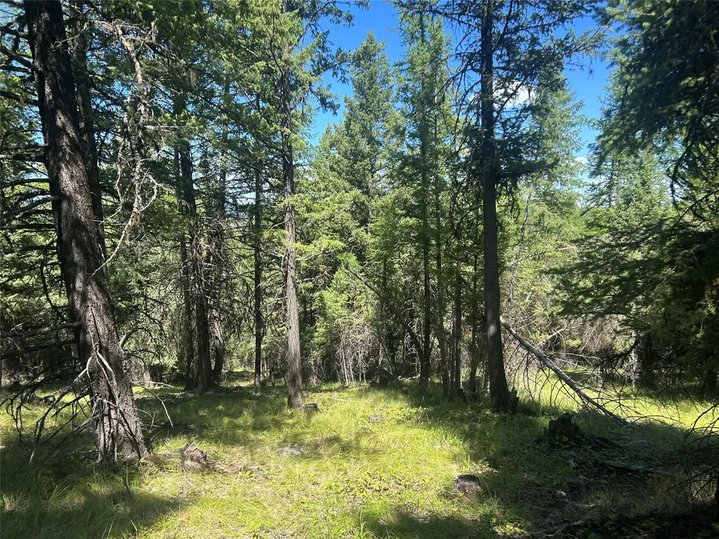 332 Racheals Meadow Lane Kila MT 59920