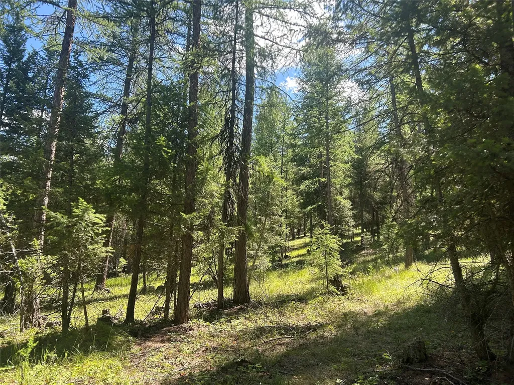 332 Racheals Meadow Lane Kila MT 59920