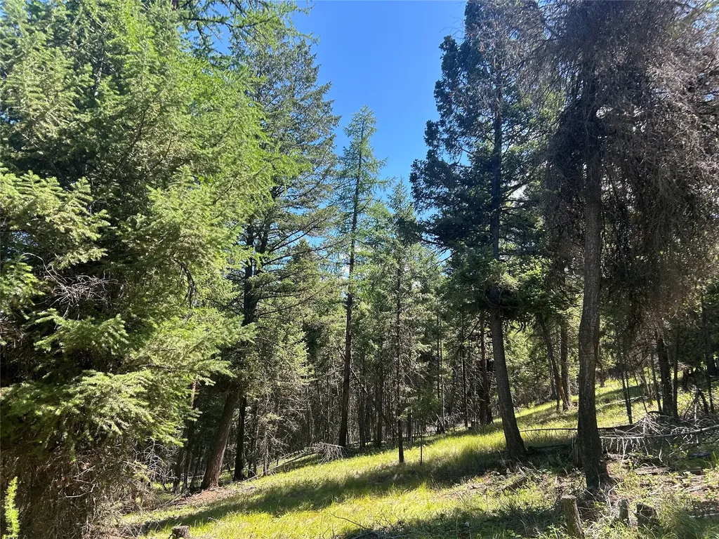 332 Racheals Meadow Lane Kila MT 59920