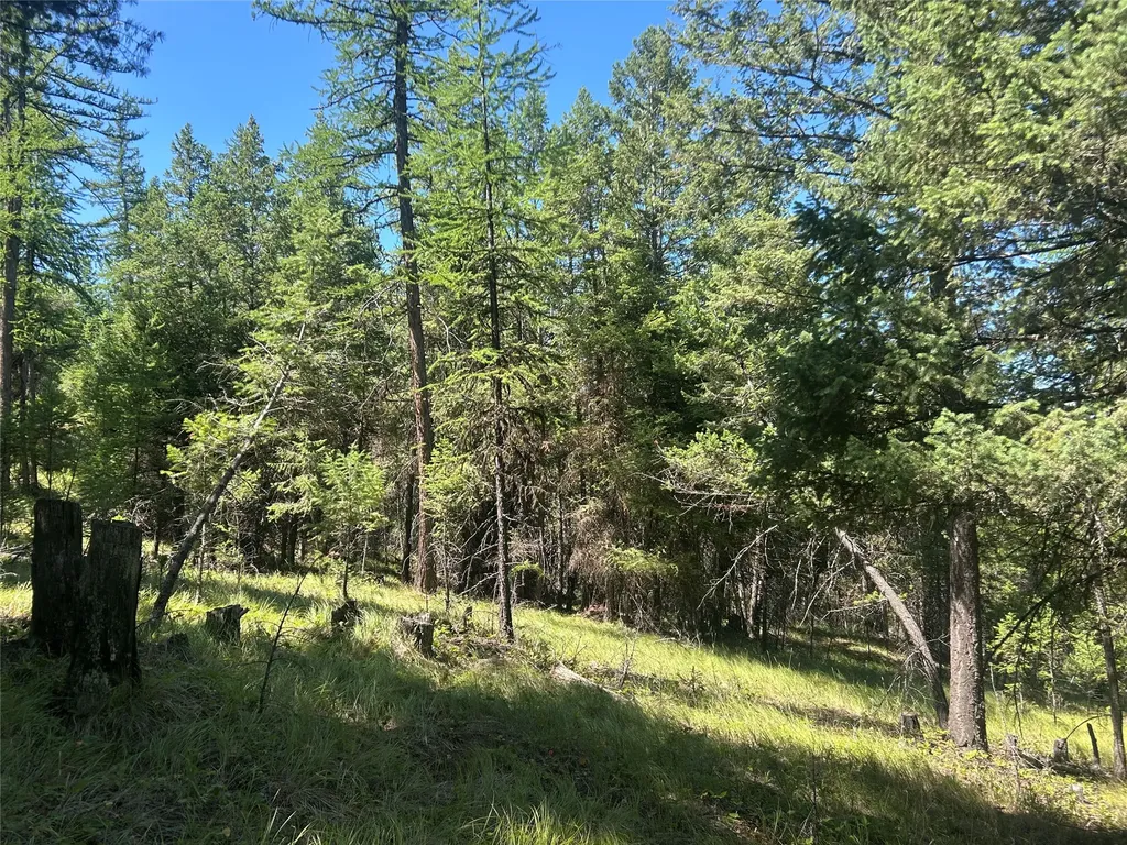 332 Racheals Meadow Lane Kila MT 59920