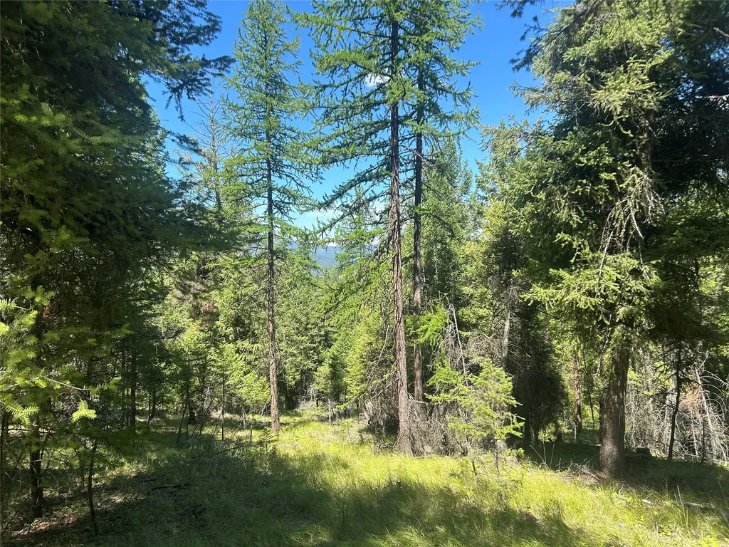 332 Racheals Meadow Lane Kila MT 59920