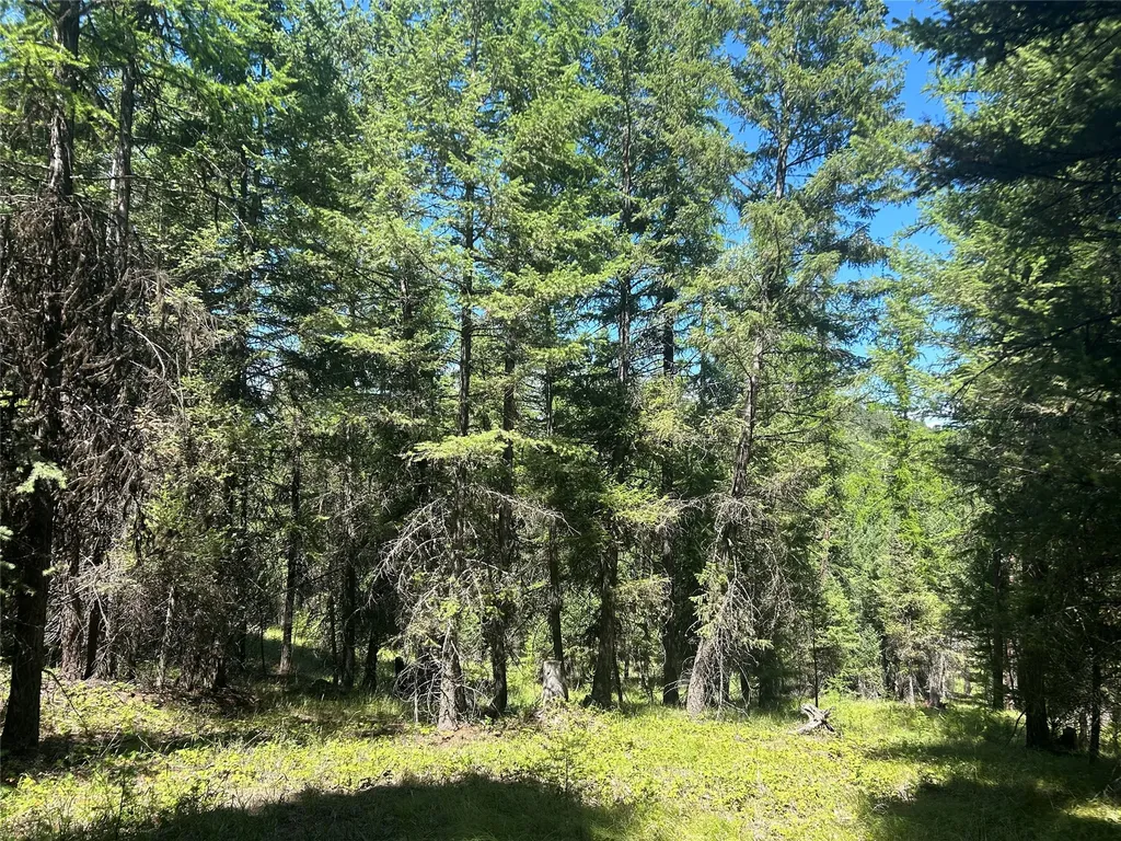 332 Racheals Meadow Lane Kila MT 59920