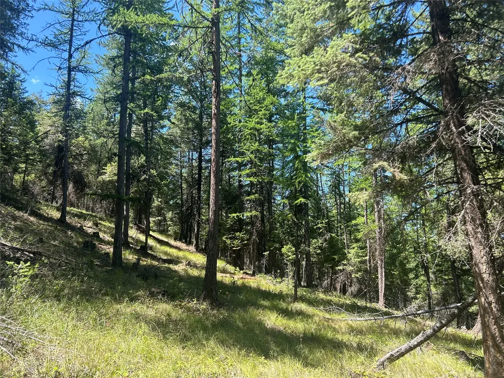 332 Racheals Meadow Lane Kila MT 59920