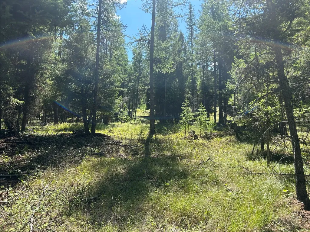 332 Racheals Meadow Lane Kila MT 59920