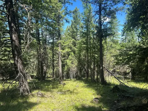 332 Racheals Meadow Lane Kila MT 59920
