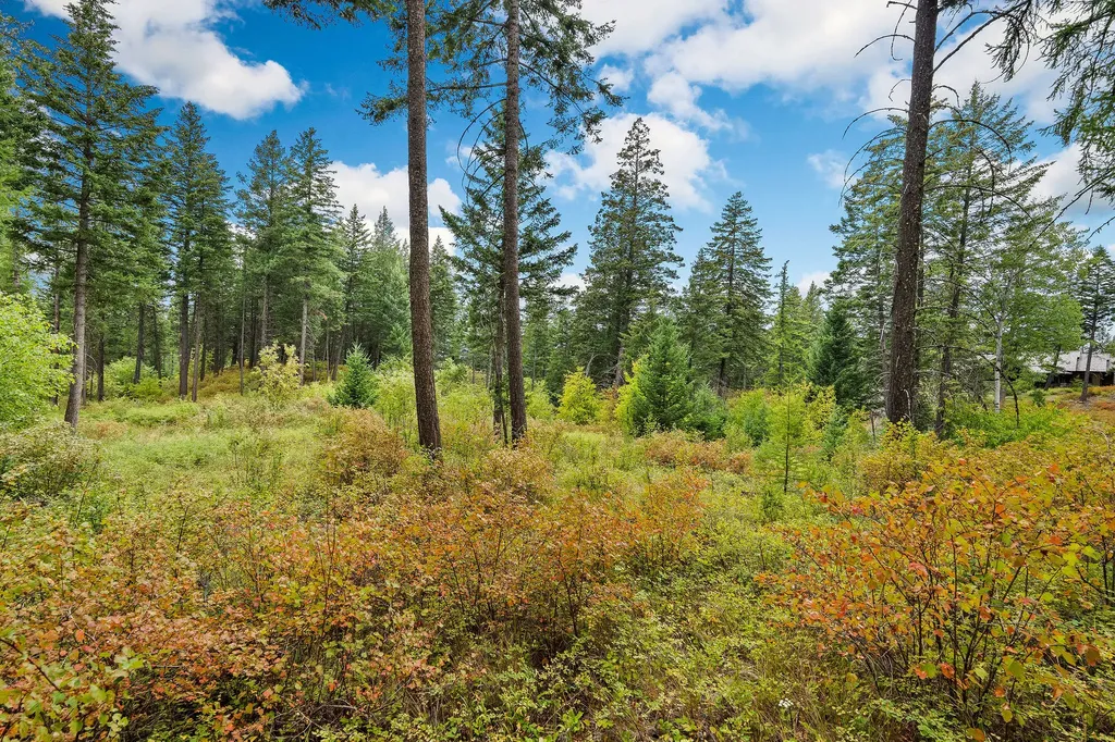 157 Pinto Trail Bigfork MT 59911