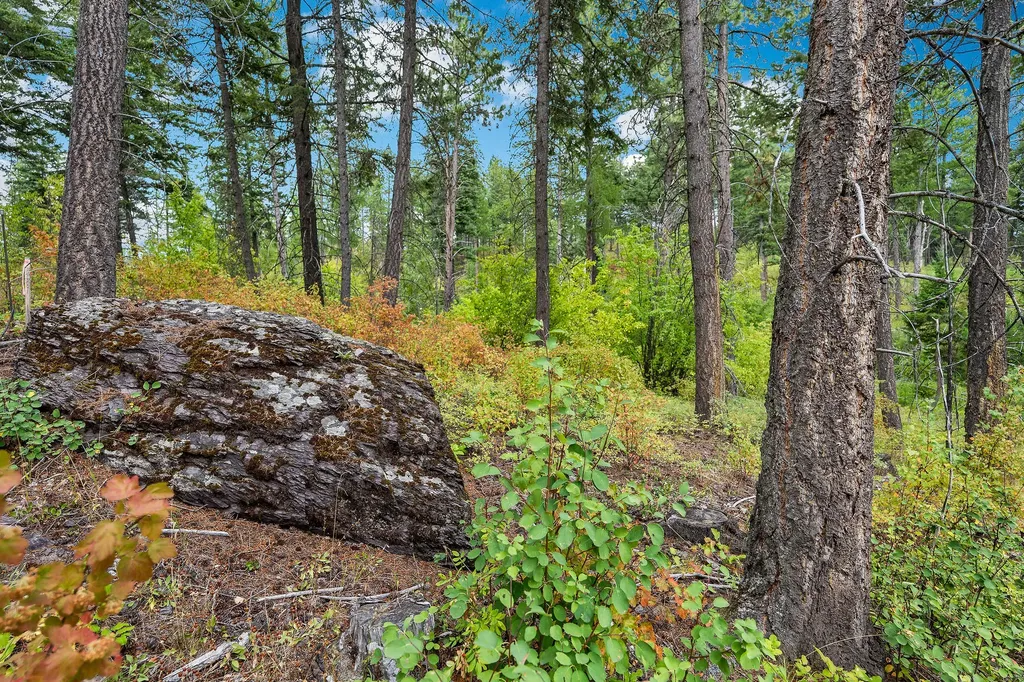 157 Pinto Trail Bigfork MT 59911
