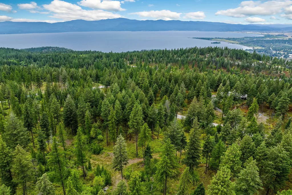 157 Pinto Trail Bigfork MT 59911