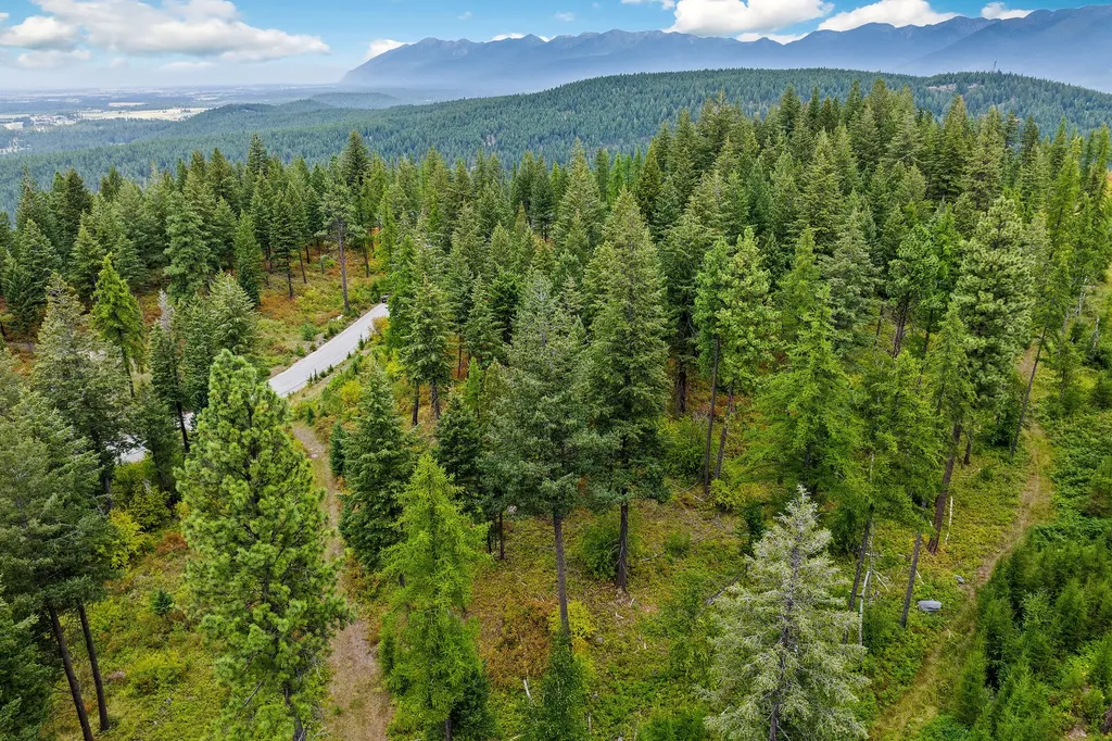 157 Pinto Trail Bigfork MT 59911