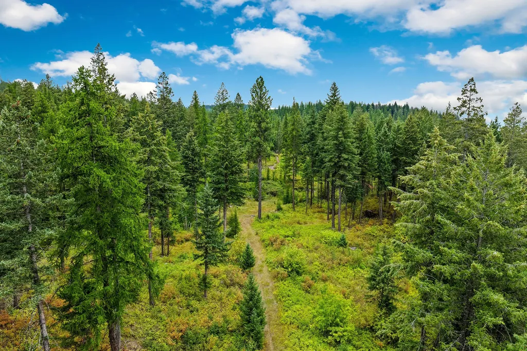 157 Pinto Trail Bigfork MT 59911