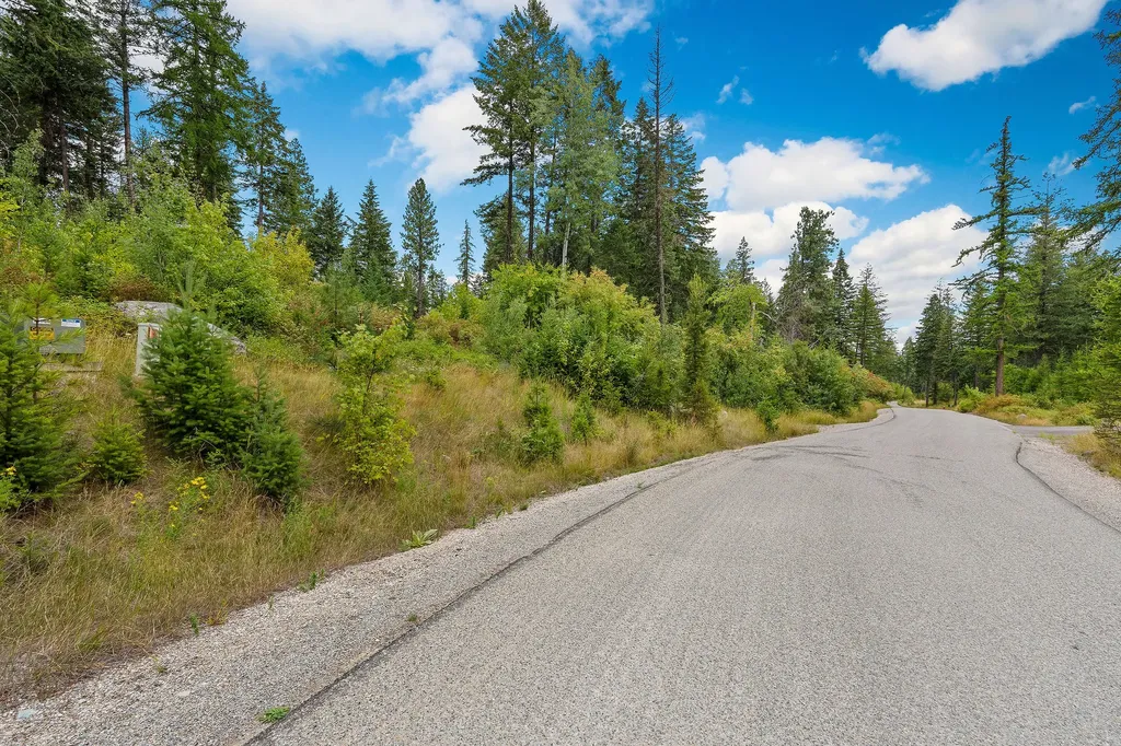 157 Pinto Trail Bigfork MT 59911