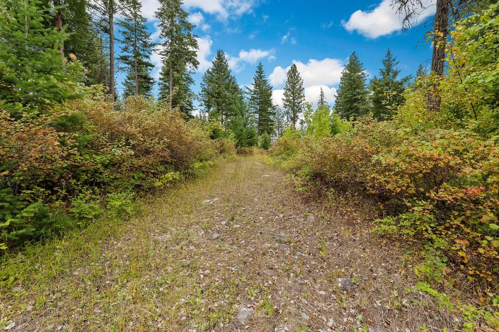 157 Pinto Trail Bigfork MT 59911