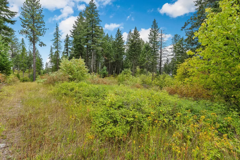 157 Pinto Trail Bigfork MT 59911