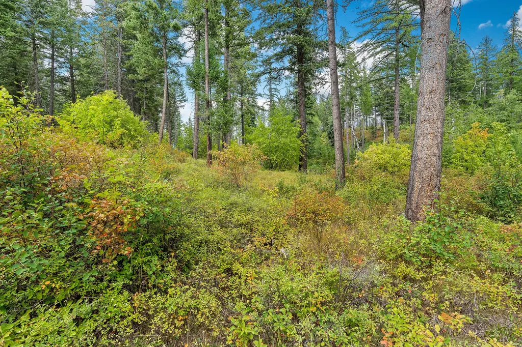 157 Pinto Trail Bigfork MT 59911