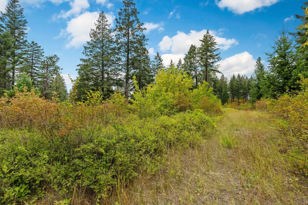 157 Pinto Trail Bigfork MT 59911