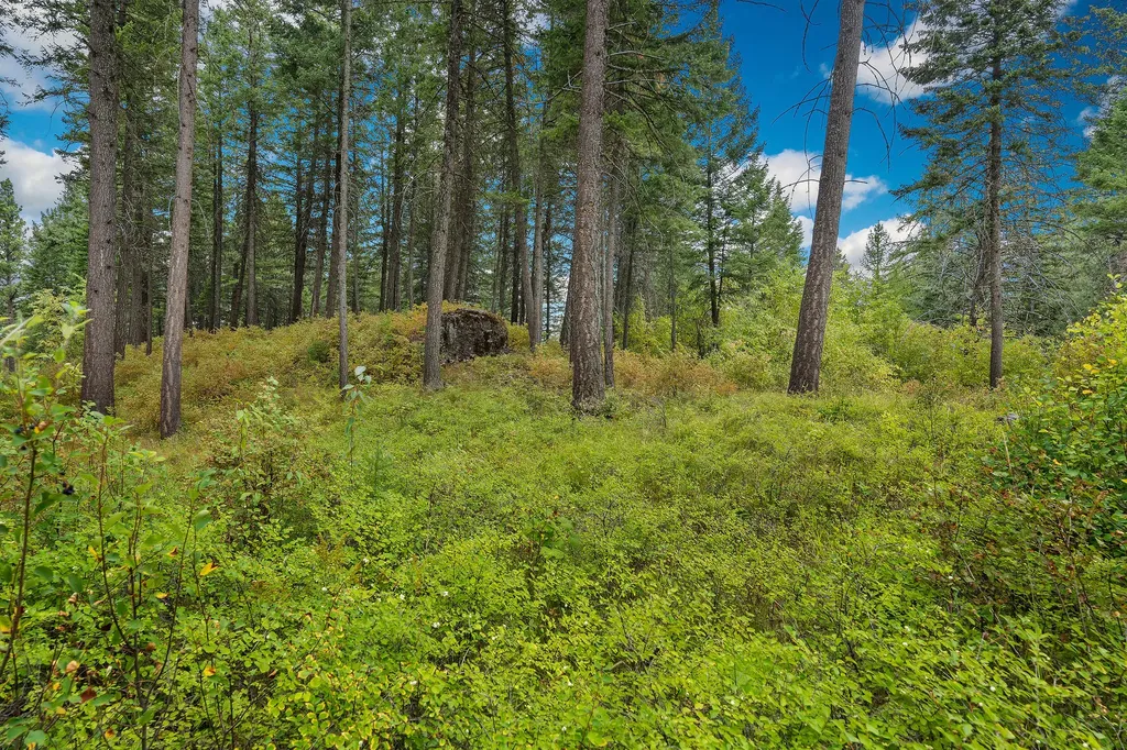 157 Pinto Trail Bigfork MT 59911