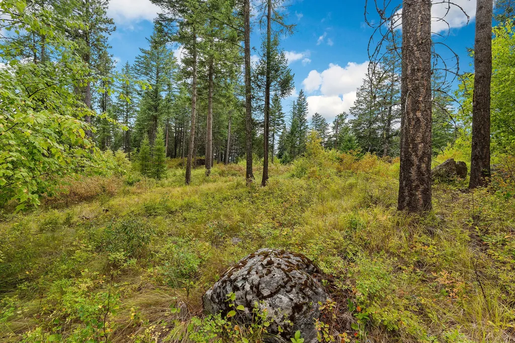 157 Pinto Trail Bigfork MT 59911