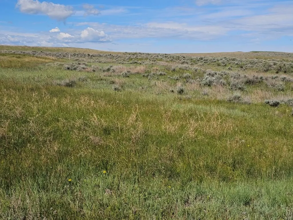Tbd Elk Creek Road Winnett MT 59087