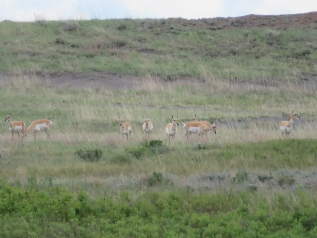 Tbd Elk Creek Road Winnett MT 59087