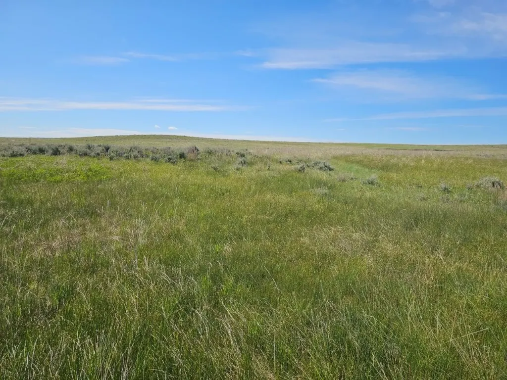 Tbd Elk Creek Road Winnett MT 59087