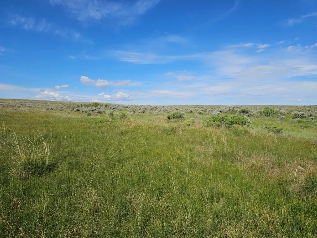 Tbd Elk Creek Road Winnett MT 59087