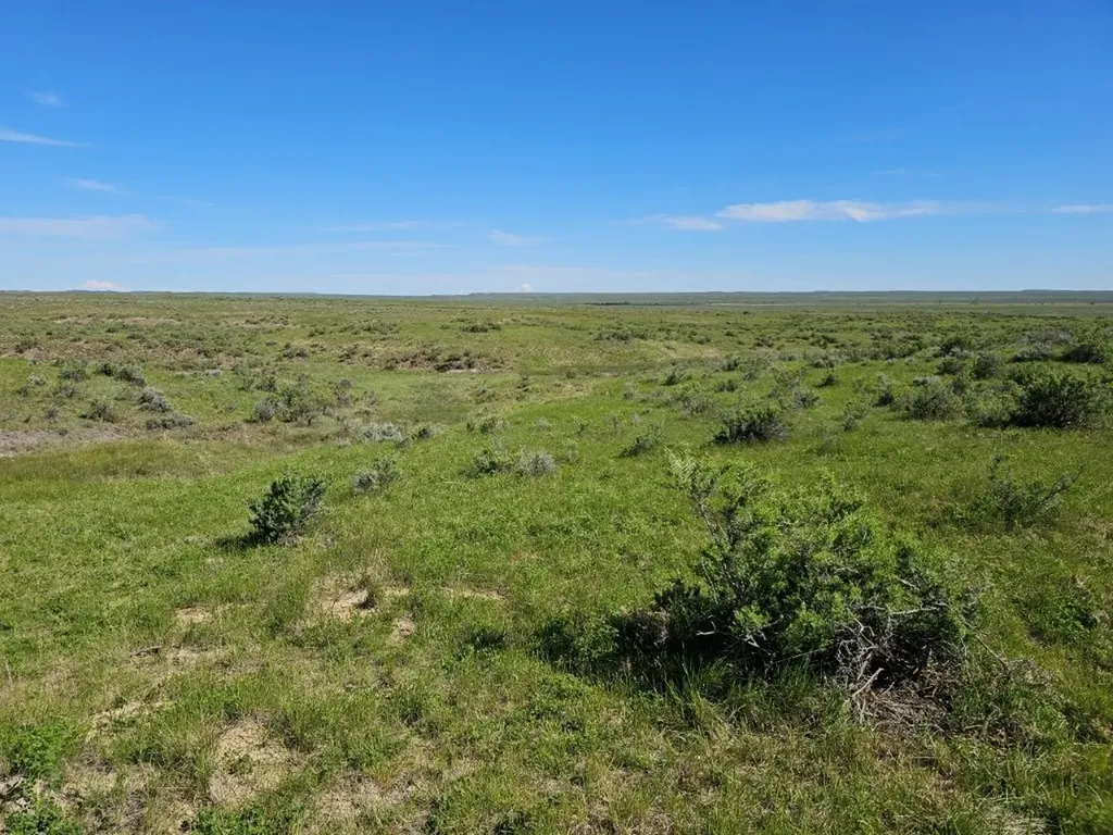 Tbd Elk Creek Road Winnett MT 59087