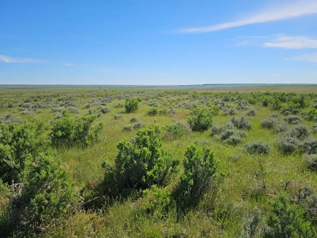 Tbd Elk Creek Road Winnett MT 59087