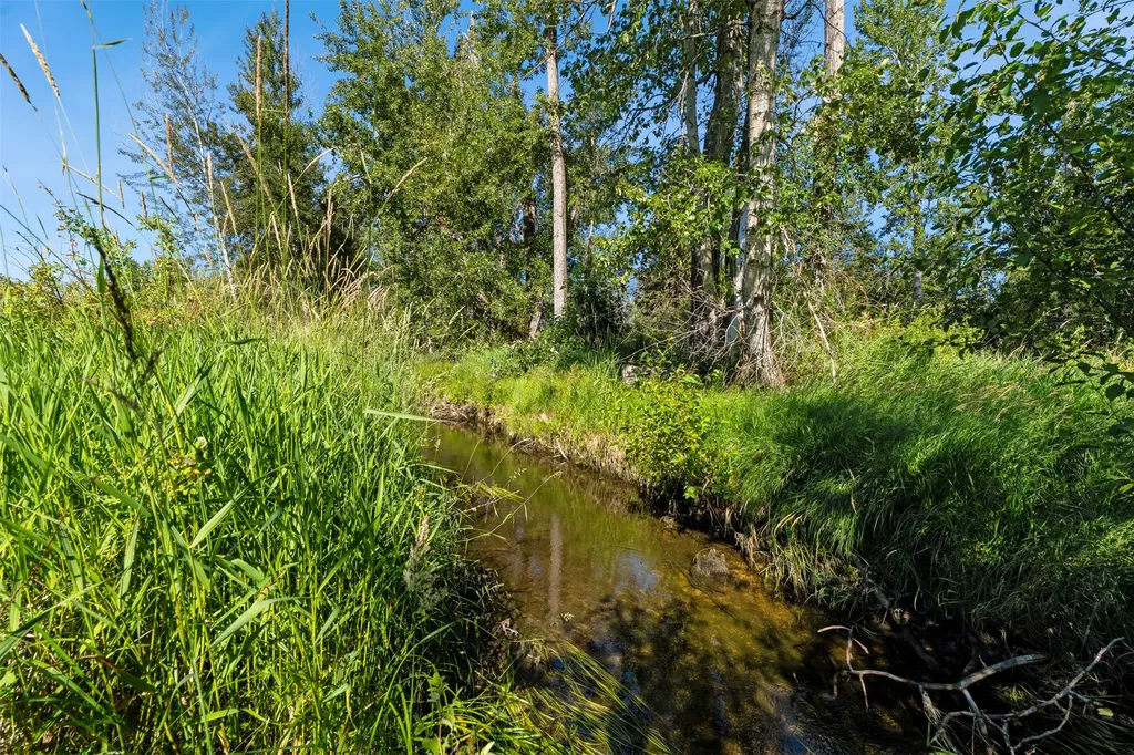 246 Otter Path Lane Hamilton MT 59840