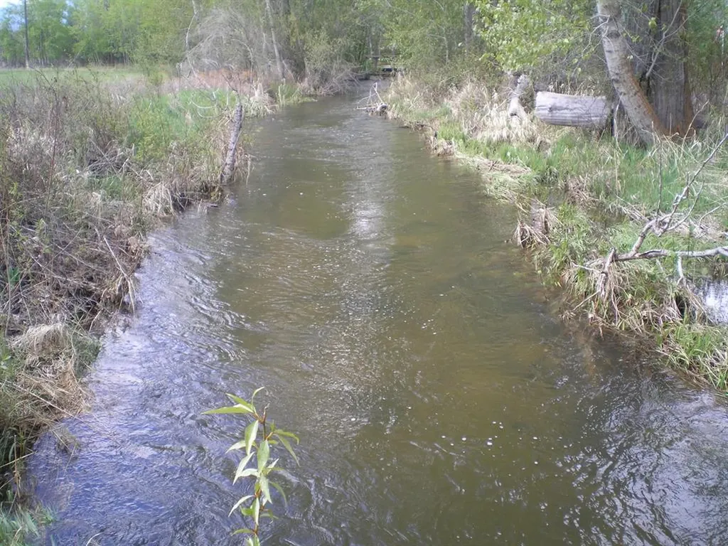 246 Otter Path Lane Hamilton MT 59840