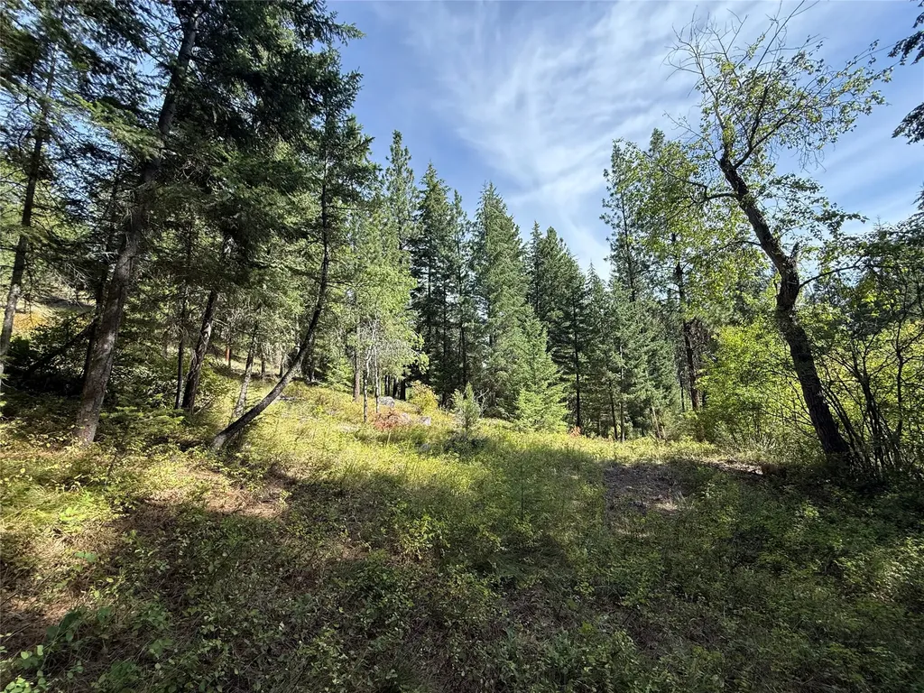 Nkn Wyant Lane Hamilton MT 59840