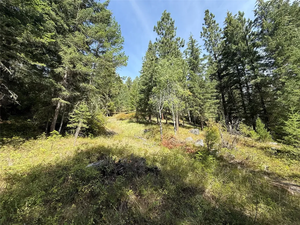 Nkn Wyant Lane Hamilton MT 59840