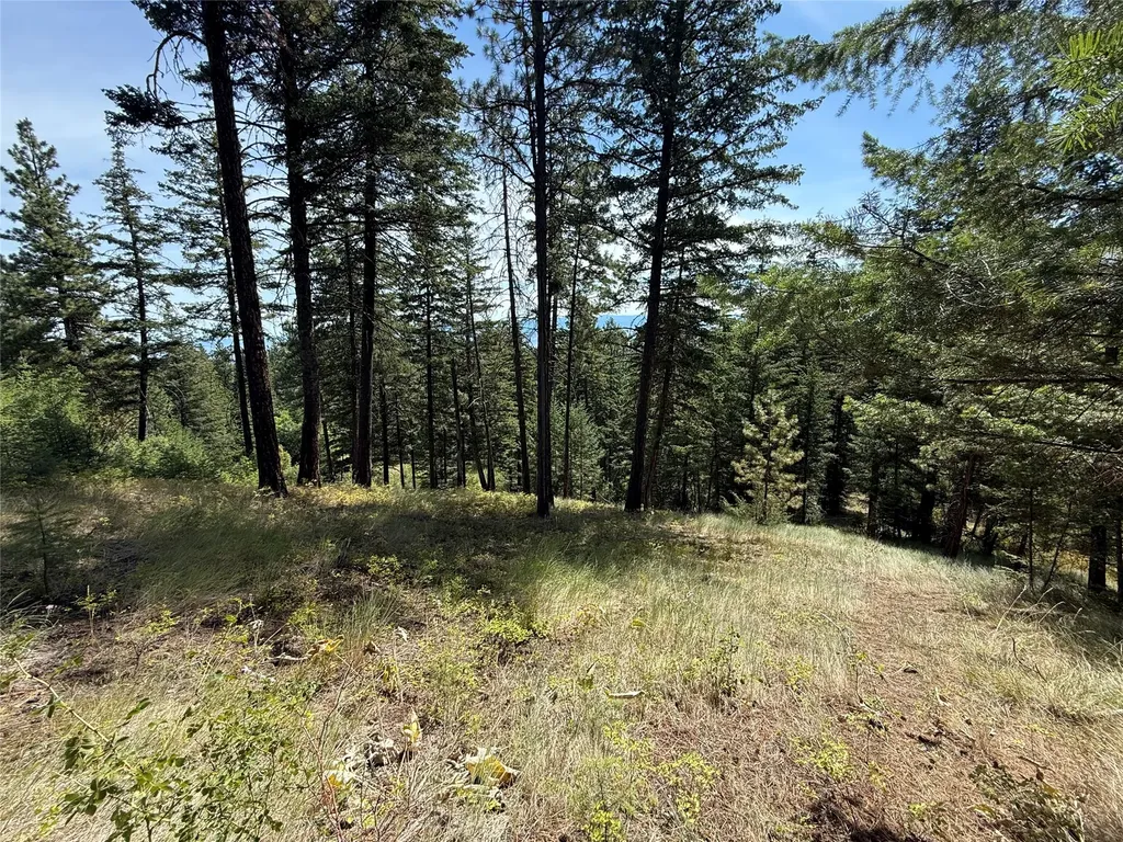 Nkn Wyant Lane Hamilton MT 59840
