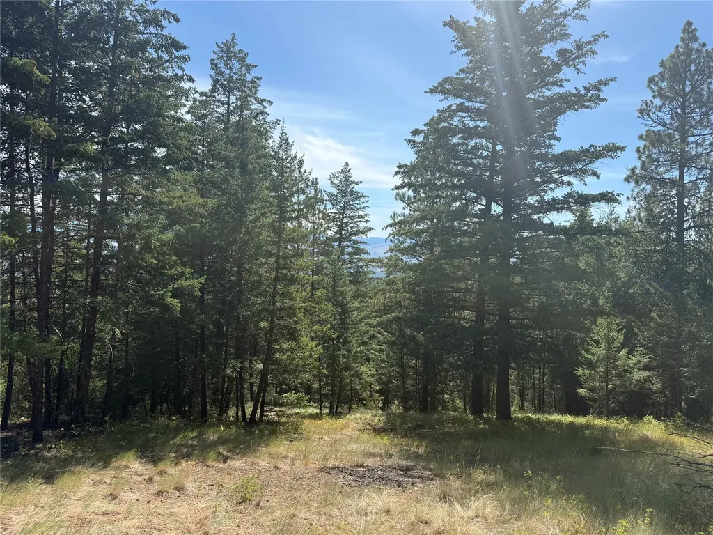 Nkn Wyant Lane Hamilton MT 59840