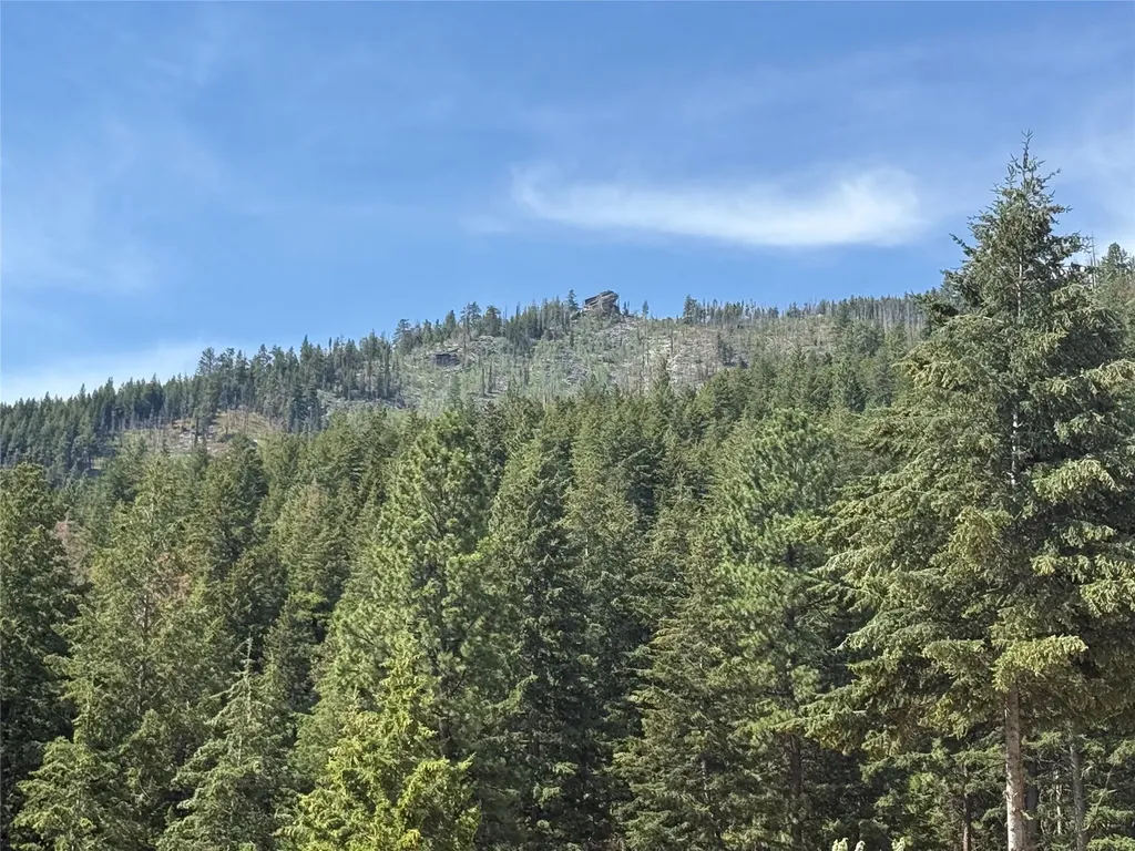 Nkn Wyant Lane Hamilton MT 59840