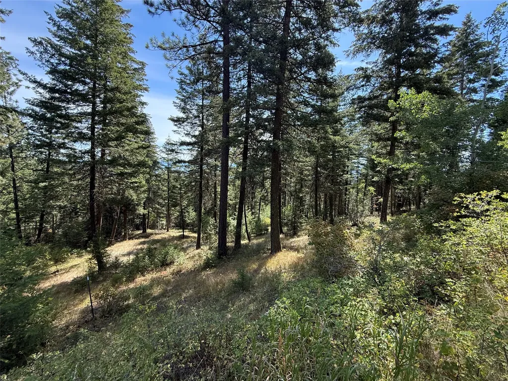 Nkn Wyant Lane Hamilton MT 59840