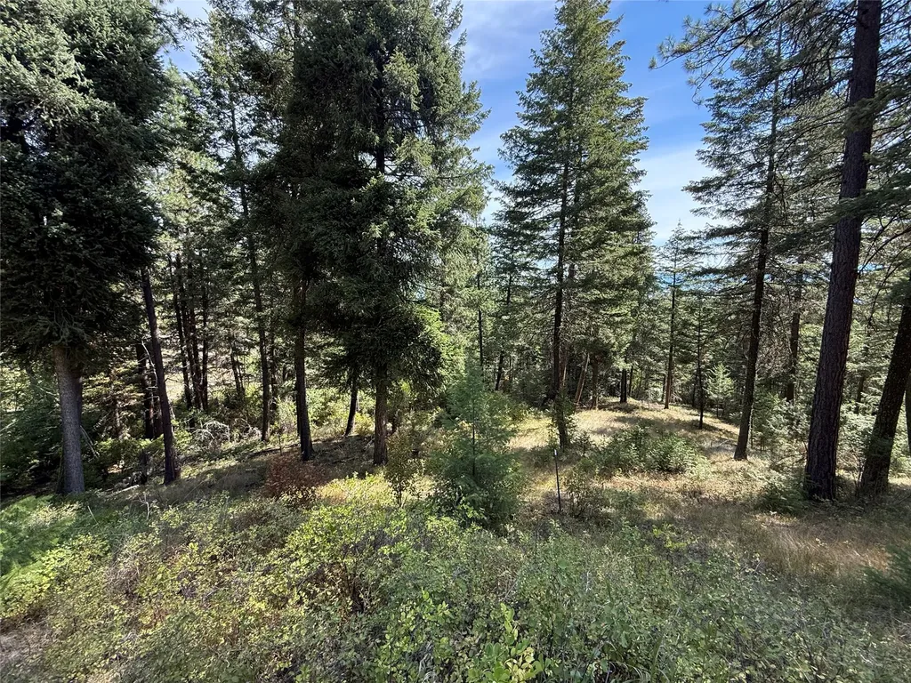 Nkn Wyant Lane Hamilton MT 59840