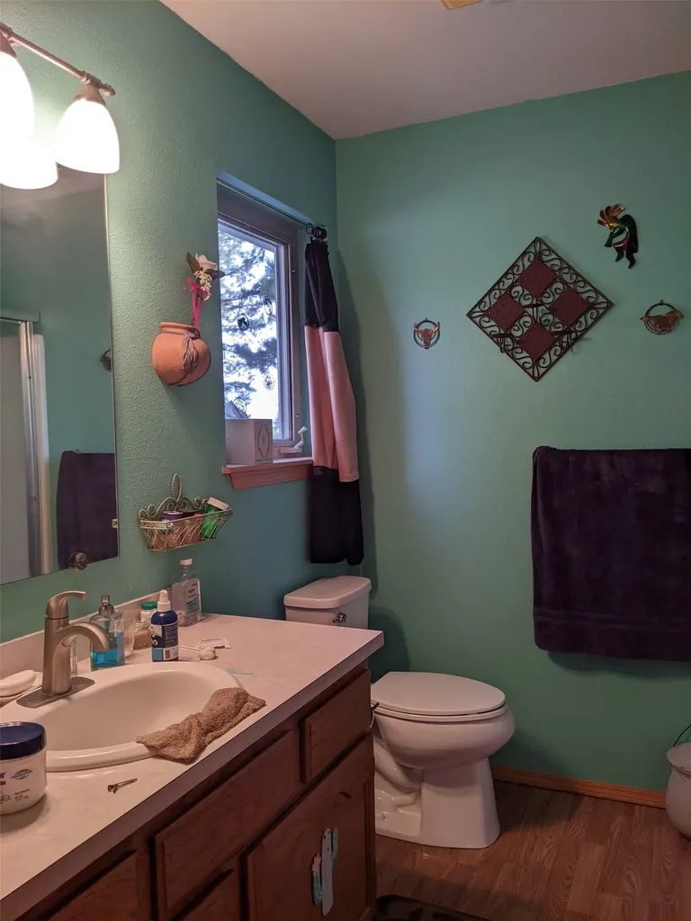 35 Snowy Lane Plains MT 59859