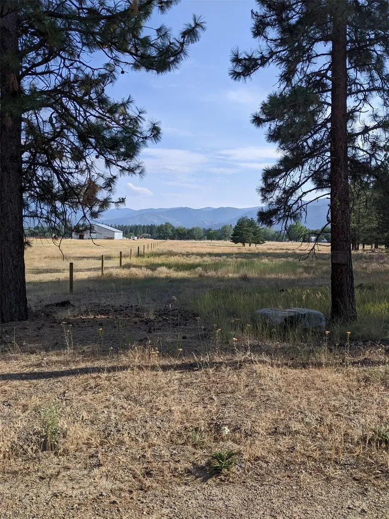 35 Snowy Lane Plains MT 59859