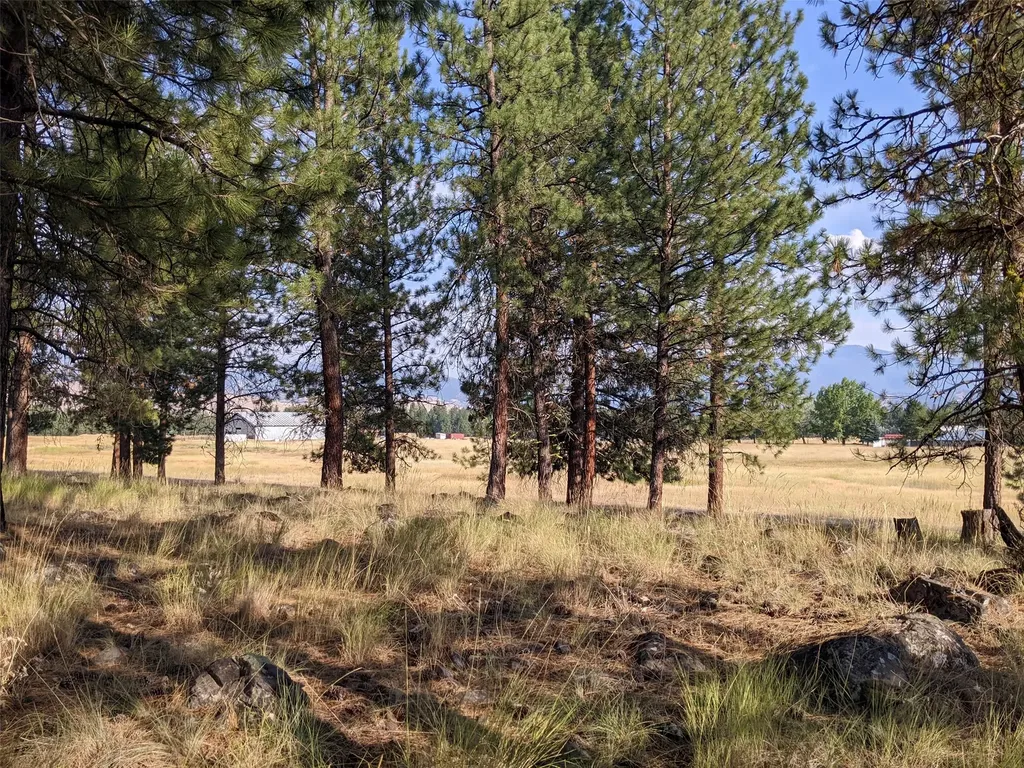 35 Snowy Lane Plains MT 59859