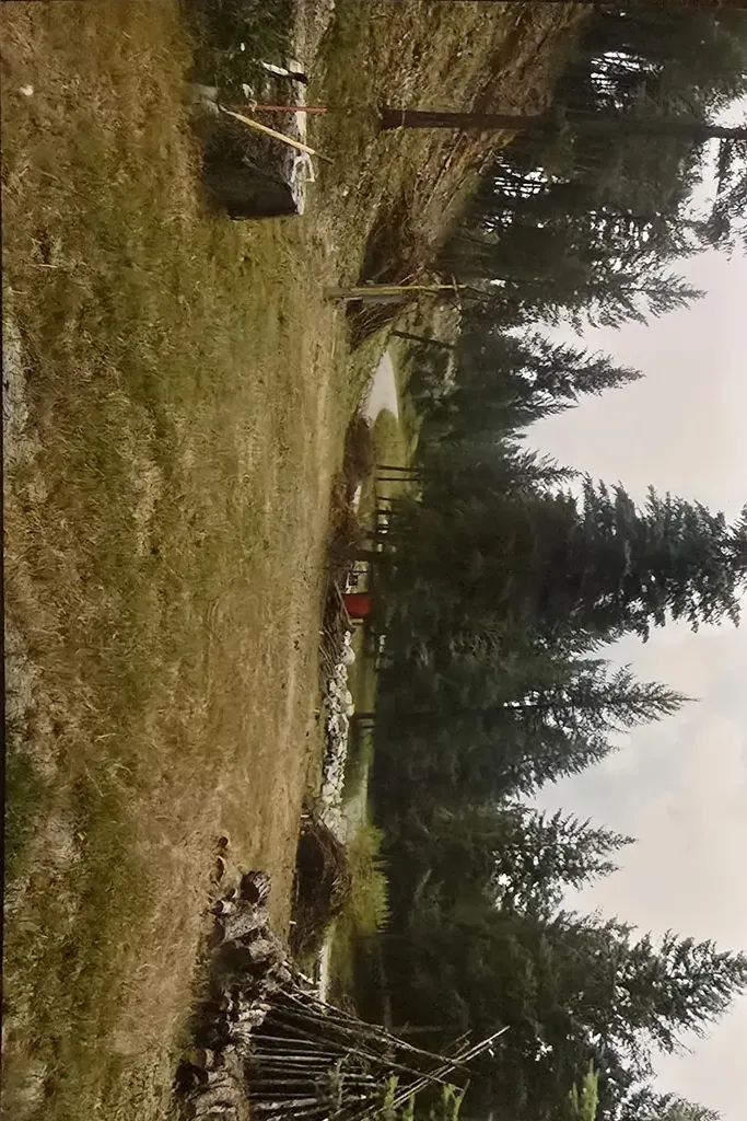 434 Kettlehorn Drive N Eureka MT 59917