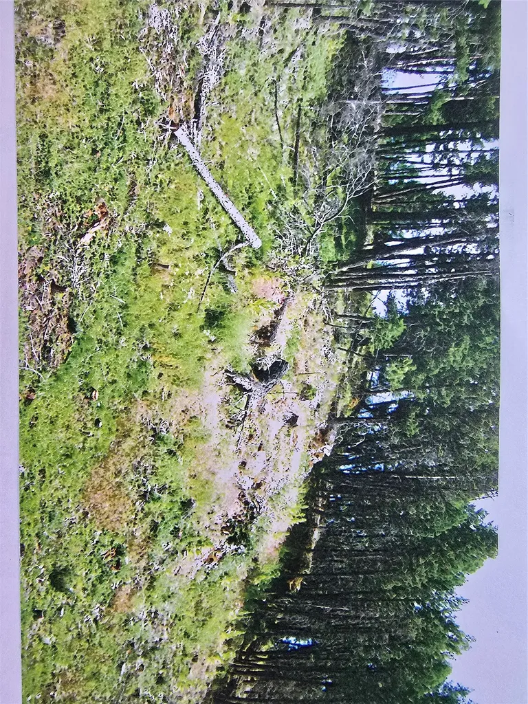 434 Kettlehorn Drive N Eureka MT 59917