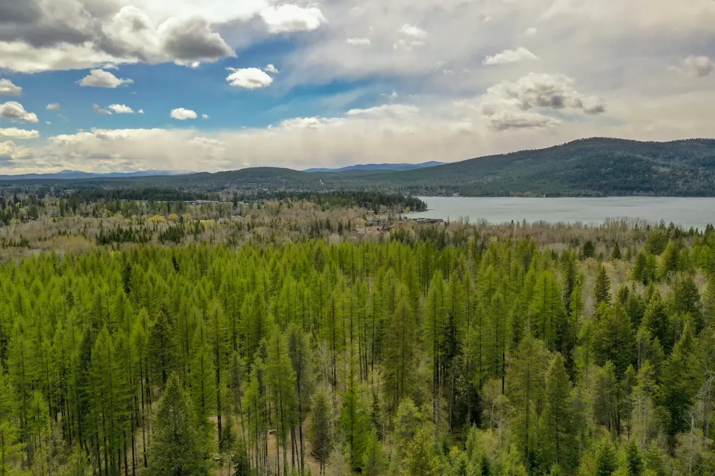 292 Reservoir Road Whitefish MT 59937